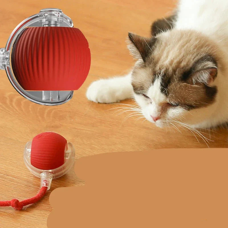 Brinquedo interativo para Gatos FelineBall